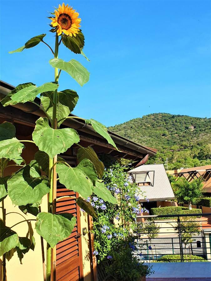 "La Terrazza Di Castiglione" Appartamenti Vacanza Castiglione della Pescaia Buitenkant foto