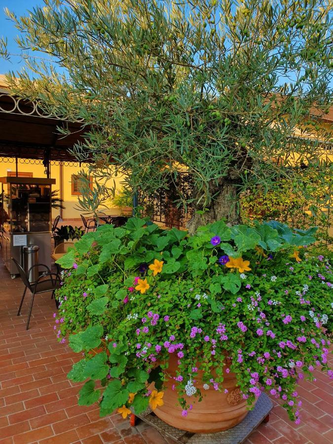 "La Terrazza Di Castiglione" Appartamenti Vacanza Castiglione della Pescaia Buitenkant foto